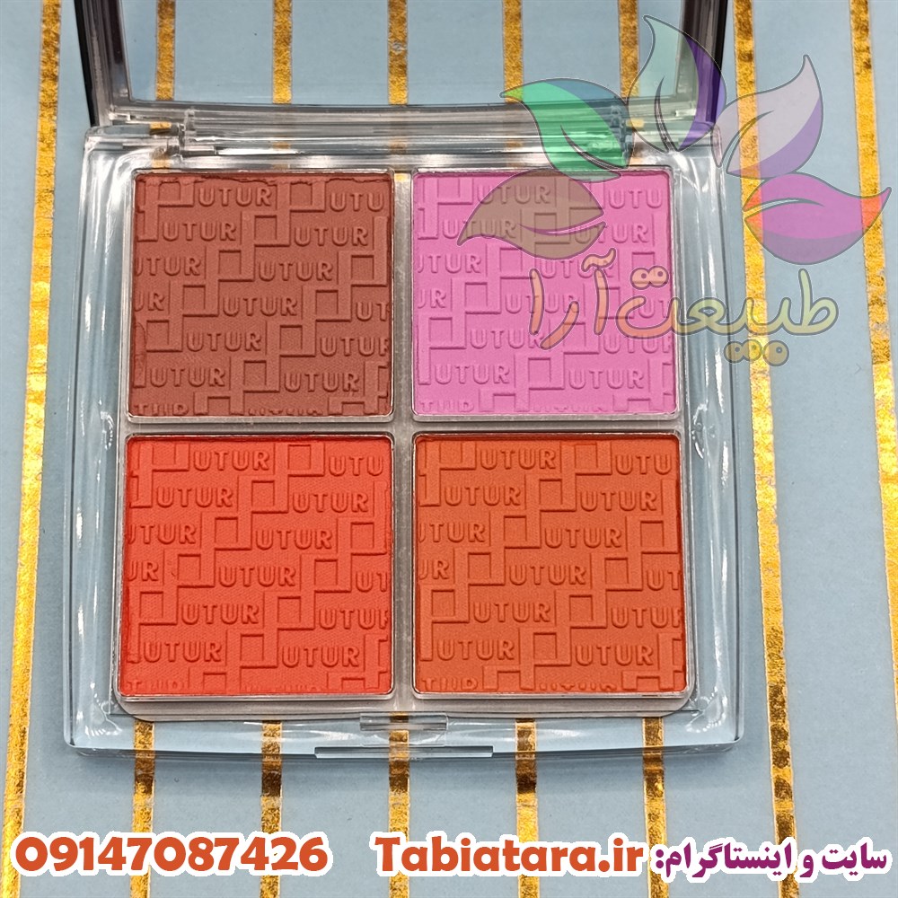پالت رژگونه فیوچرمیکاپ FU3602