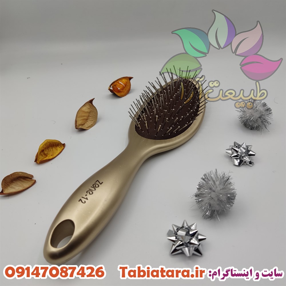 برس تخت زد وان Z.One مدلZ-12