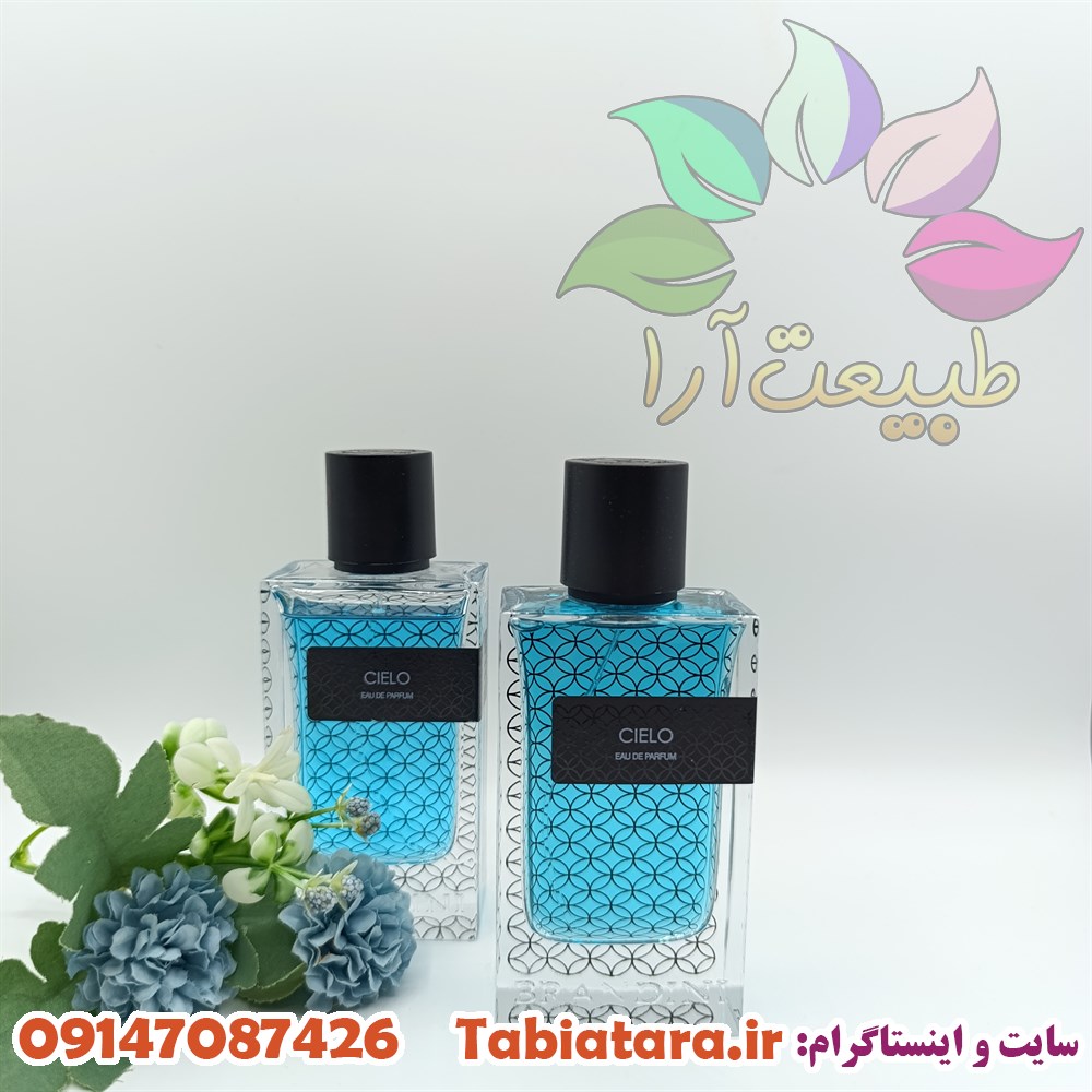 ادکلن مردانه سیلو