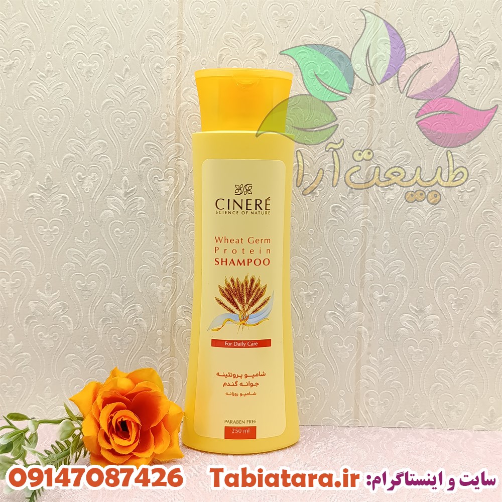 شامپو جوانه گندم سینره