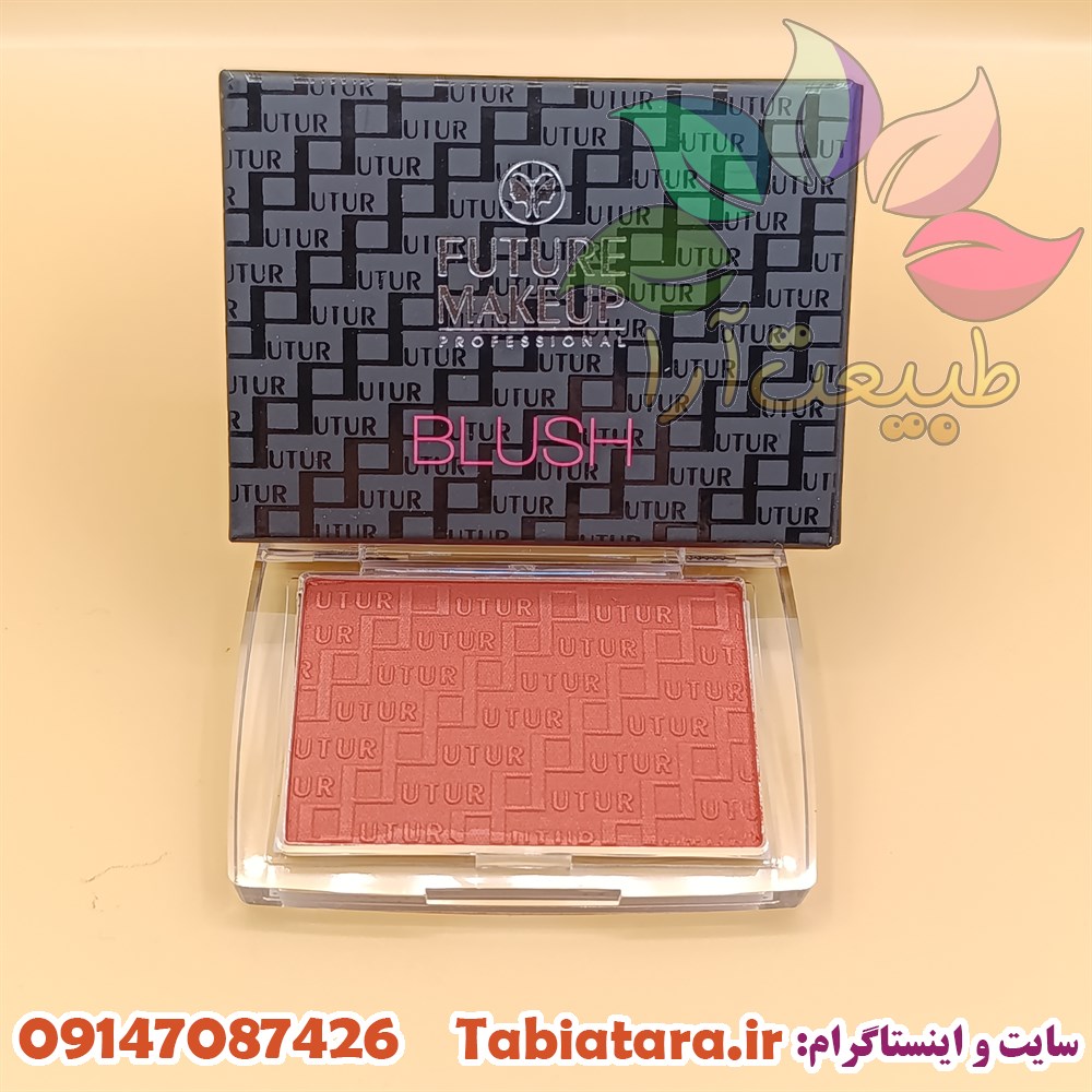 رژگونه فیوچرمیکاپ FU2504