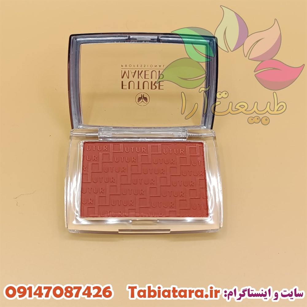 رژگونه فیوچرمیکاپ FU2504 