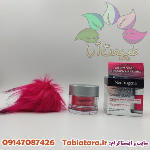 کرم شب